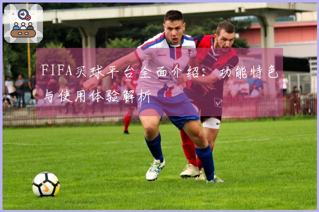 FIFA买球平台全面介绍：功能特色与使用体验解析