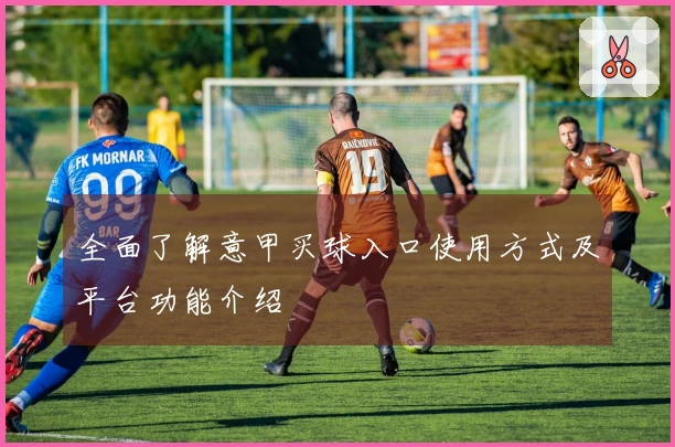 全面了解意甲买球入口使用方式及平台功能介绍