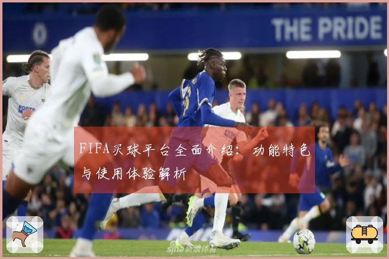 FIFA买球平台全面介绍：功能特色与使用体验解析