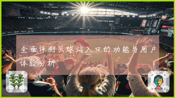 全面评测买球站入口的功能与用户体验分析