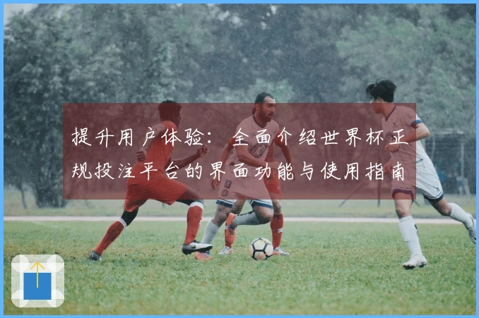 提升用户体验：全面介绍世界杯正规投注平台的界面功能与使用指南