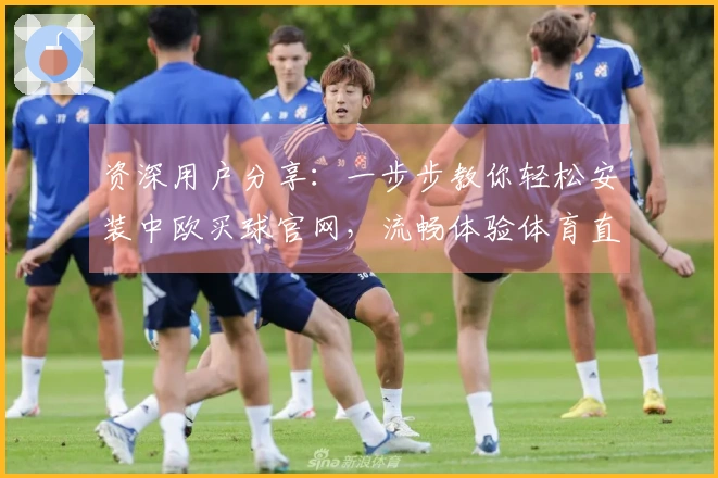 资深用户分享：一步步教你轻松安装中欧买球官网，流畅体验体育直播