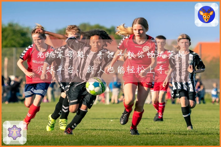 老玩家带路，手把手教你畅玩英超买球平台，新人也能轻松上手