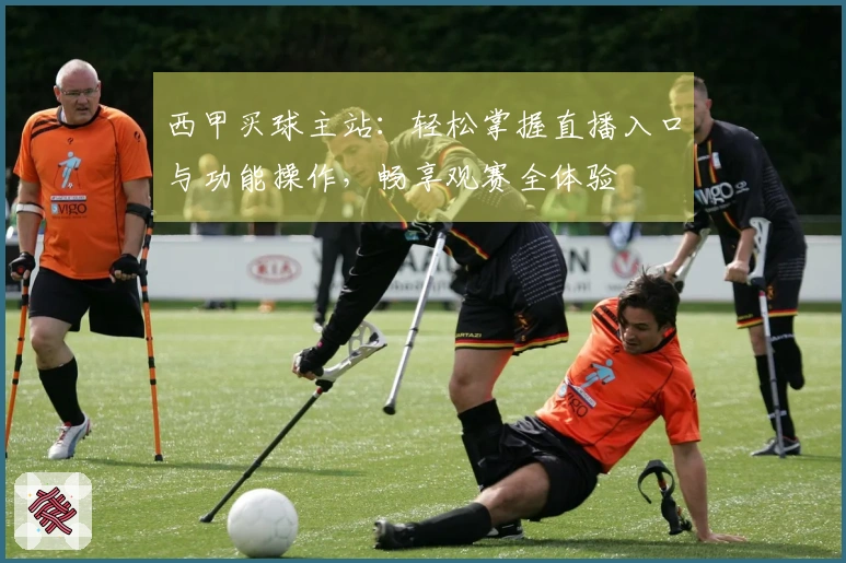 西甲买球主站：轻松掌握直播入口与功能操作，畅享观赛全体验