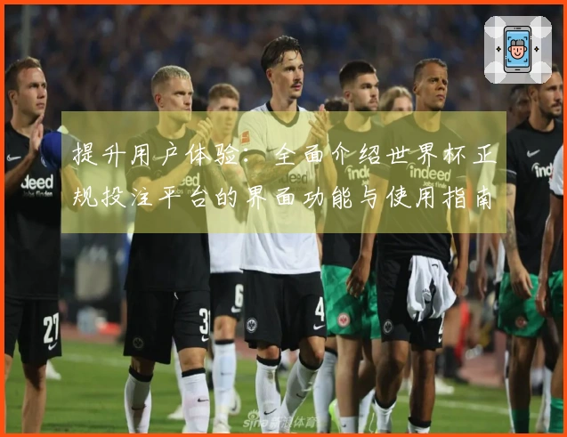 提升用户体验：全面介绍世界杯正规投注平台的界面功能与使用指南