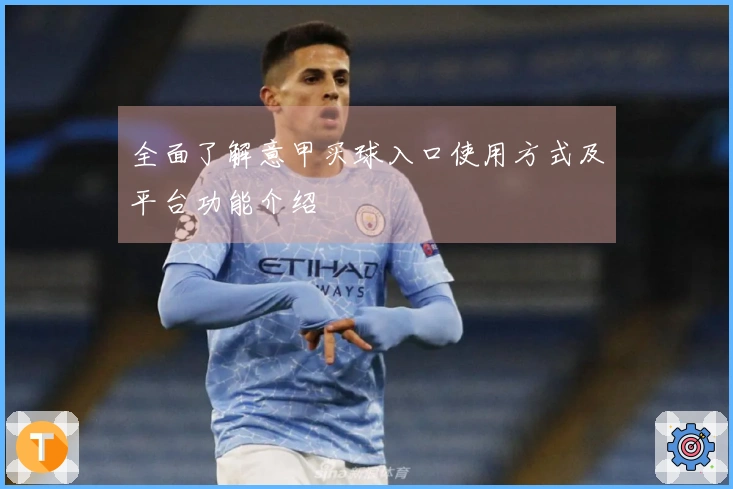 全面了解意甲买球入口使用方式及平台功能介绍