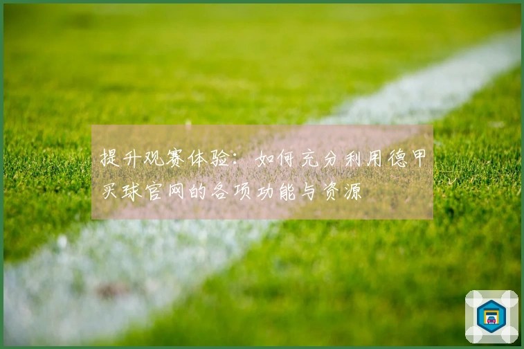 提升观赛体验：如何充分利用德甲买球官网的各项功能与资源